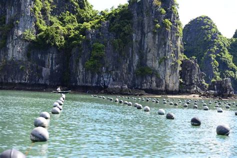 halong pearl