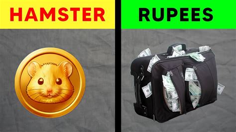 hamster kombat to pkr