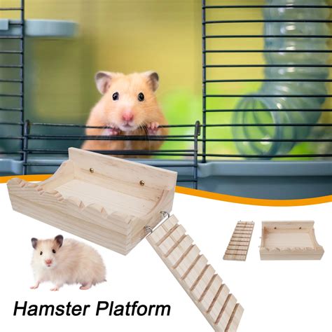 hamster platform