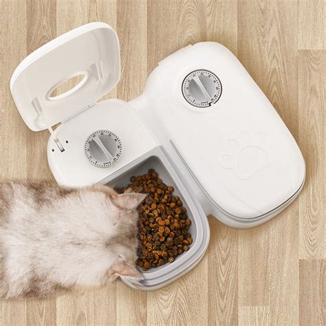 hamstercom365: The Ultimate Guide to Simplifying Pet Care