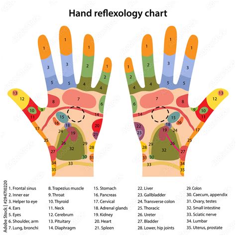 Hand Acupuncture Points Chart
