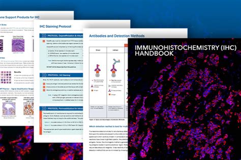 handbook of immunohistochemistry and in Doc