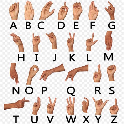 hands and hearts with 15 words in american sign language Reader
