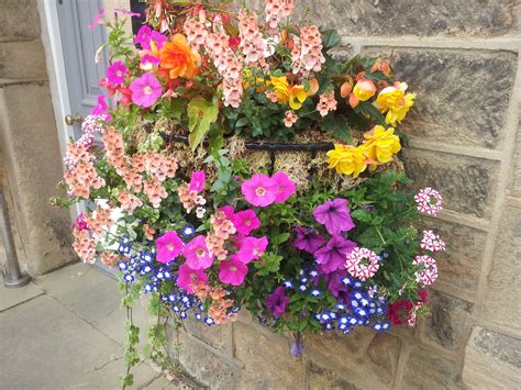 hanging baskets beplantingsideen Kindle Editon