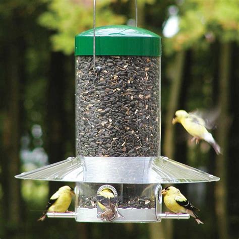 hanging bird feeder