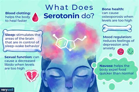 happiness guide boost serotonin level Doc
