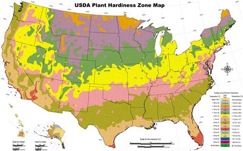 hardiness