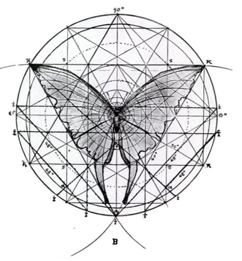 harmonic proportion and form in nature art and architecture popular science PDF