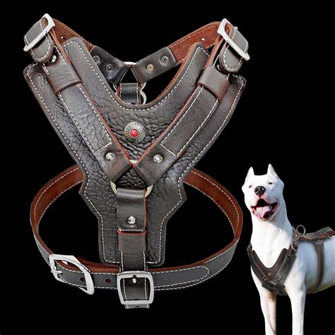 harness dog leather