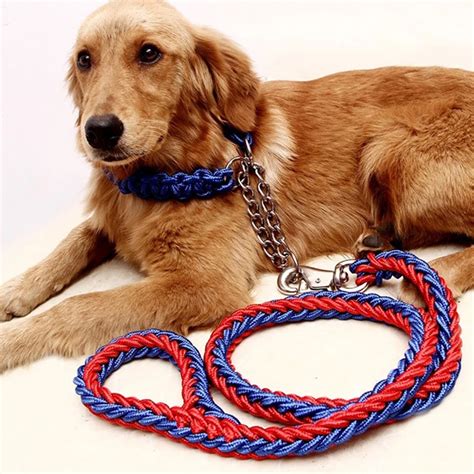 harness leash for dogs