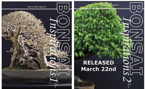 harry harringtons bonsai inspirations 1 PDF