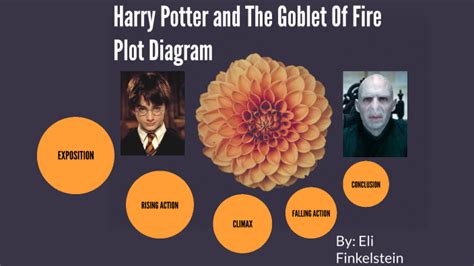 harry potter and goblet of fire plot 14 Kindle Editon