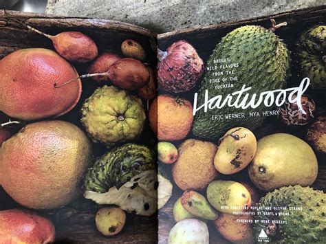 hartwood bright wild flavors from the edge of the yucatan Doc