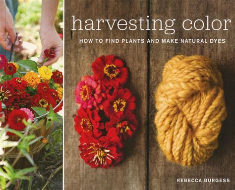 harvesting color how to find plants and make natural dyes Kindle Editon