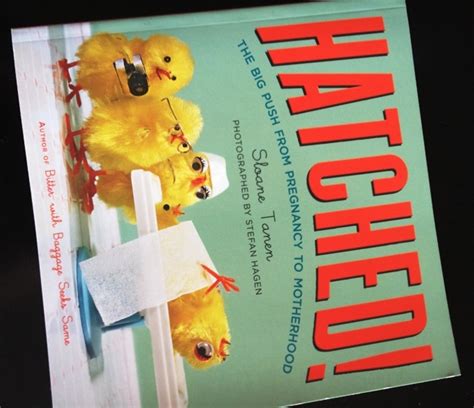 hatched the big push from pregnancy to motherhood Kindle Editon