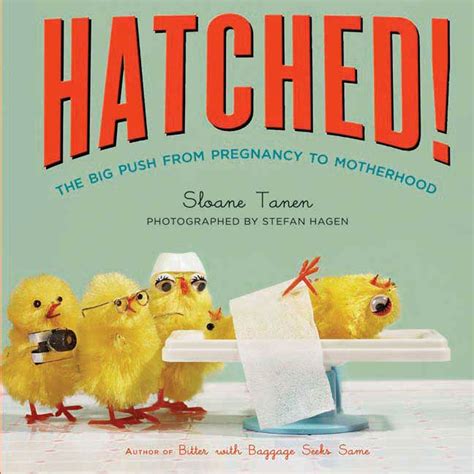 hatched the big push from pregnancy to motherhood Kindle Editon