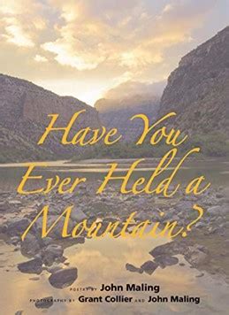 have you ever held a mountain? PDF