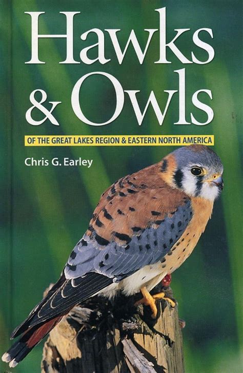 hawks and owls of the great lakes region and eastern north america PDF