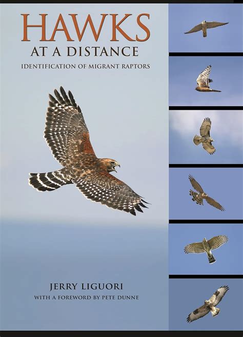 hawks at a distance identification of migrant raptors Kindle Editon