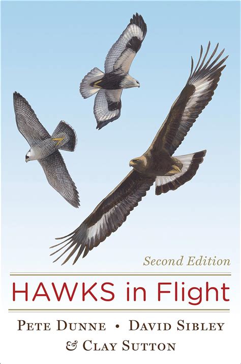 hawks in flight second edition PDF