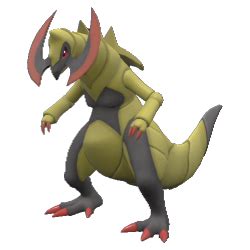 haxorus serebii