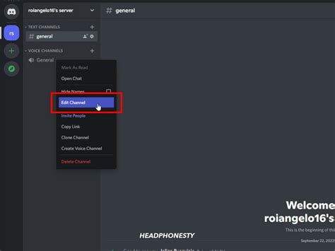 headset discord no audio