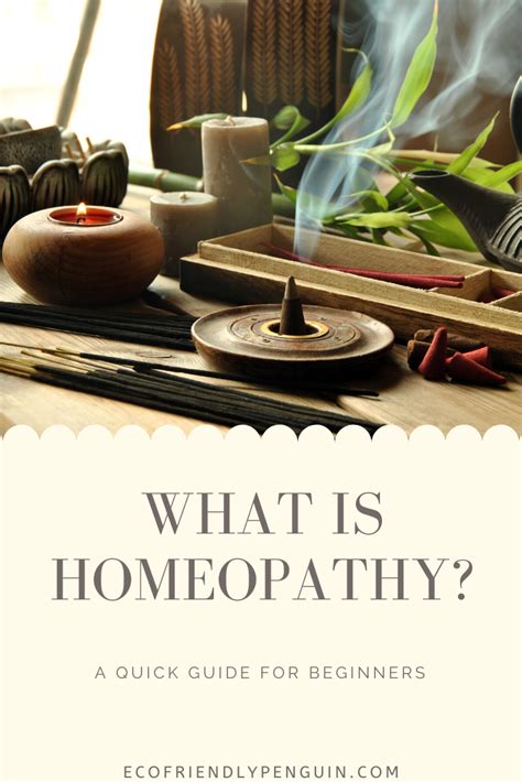 healing with homeopathy the doctors guide PDF