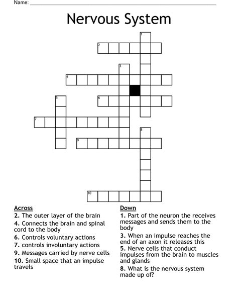 health nervous system crossword the science spot answers Epub