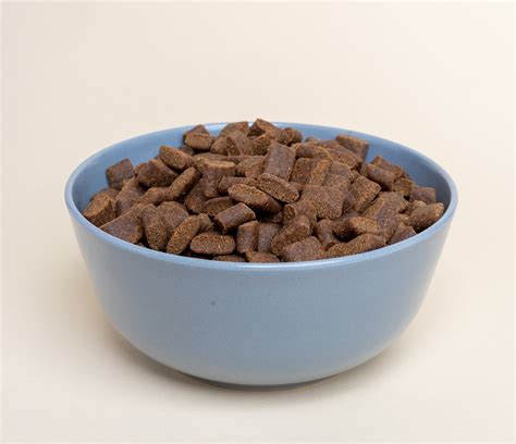 healthiest kibble for dogs