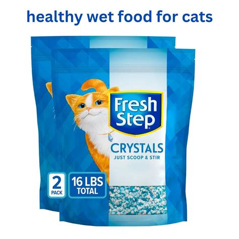 healthiest wet food for cats