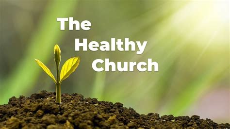 healthy christians make a healthy church PDF