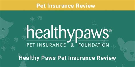 healthy paws insurance reviews