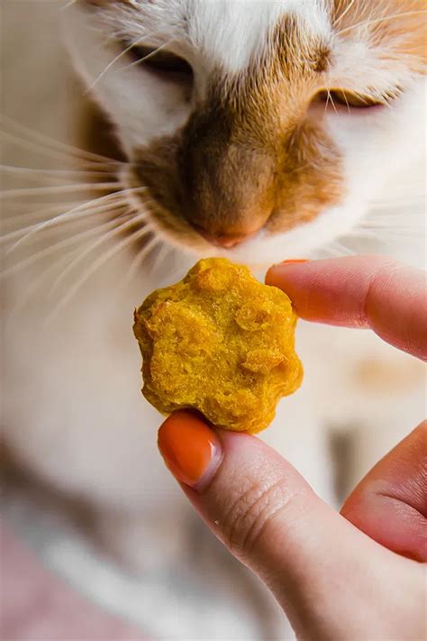 healthy treats for cats