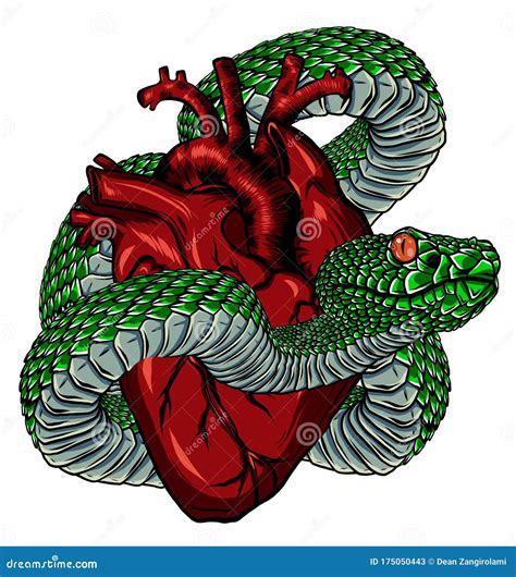 heart and snake