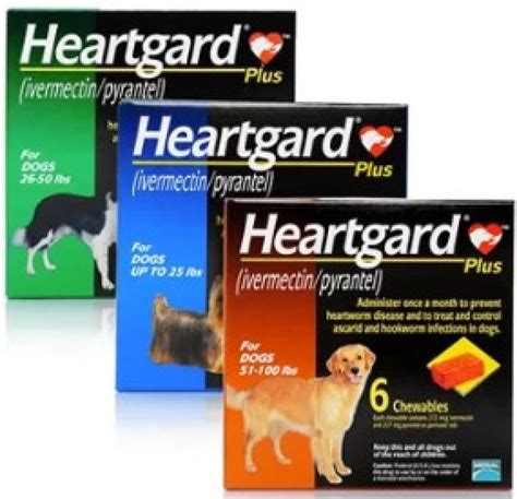 heartworm prevention for dog