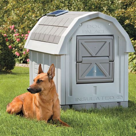 heated dog house