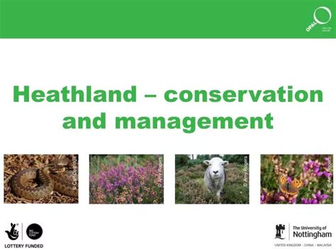 heathland management in the netherlands Reader