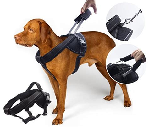 heavy duty dog harness