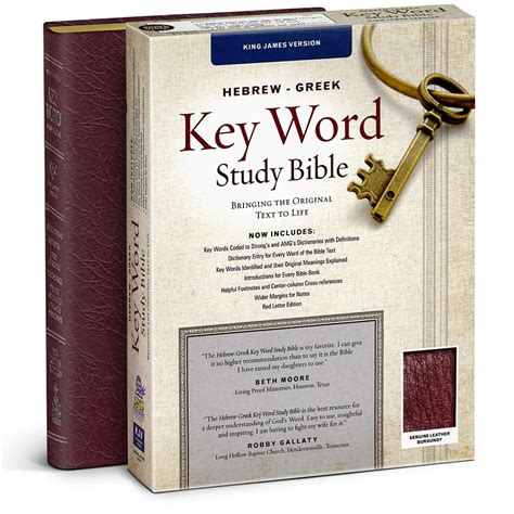 hebrew greek key word study bible kjv PDF