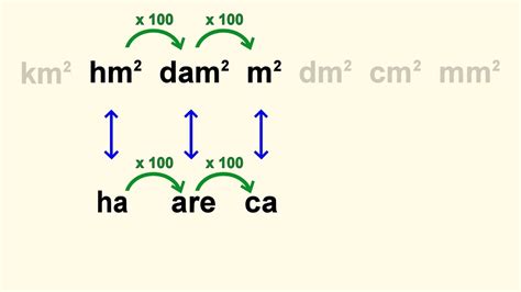 hectare are m2