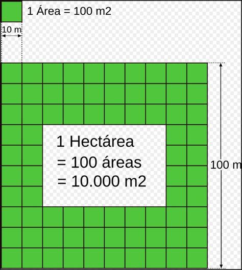 hectarea cuantos metros son