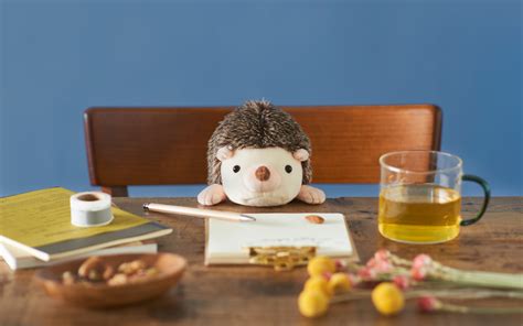 hedgehog hk