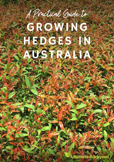 hedges pocket guide Ebook Doc