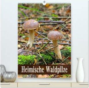 heimische waldpilze tischkalender 2016 hoch Kindle Editon