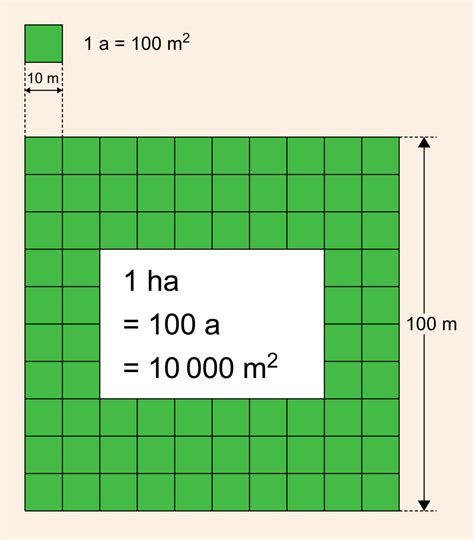 hektar in meter