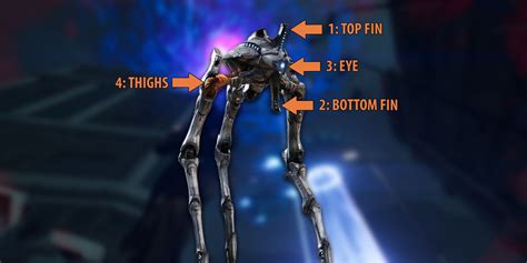 helldivers 2 weakspots