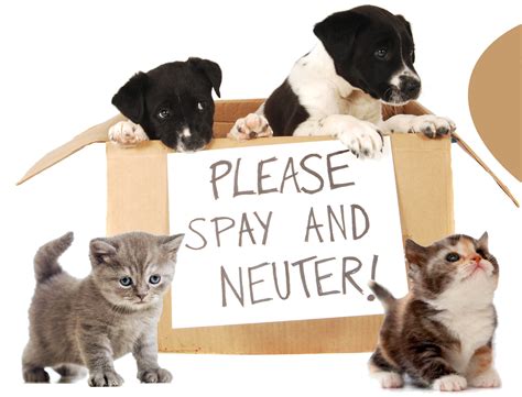 help spay and neuter