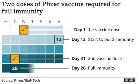 hep a vaccine how many doses