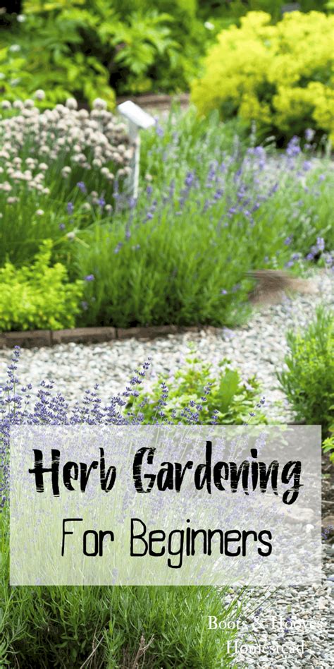 herb gardening a beginners guide to growing herbs at home PDF