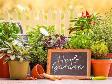 herb gardening grow herbs for healing and cooking Epub